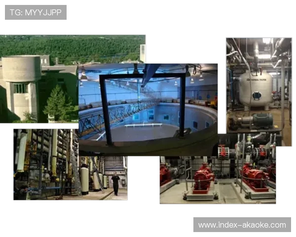 荷兰荷甲数据开源计划助力学术研究与创新发展