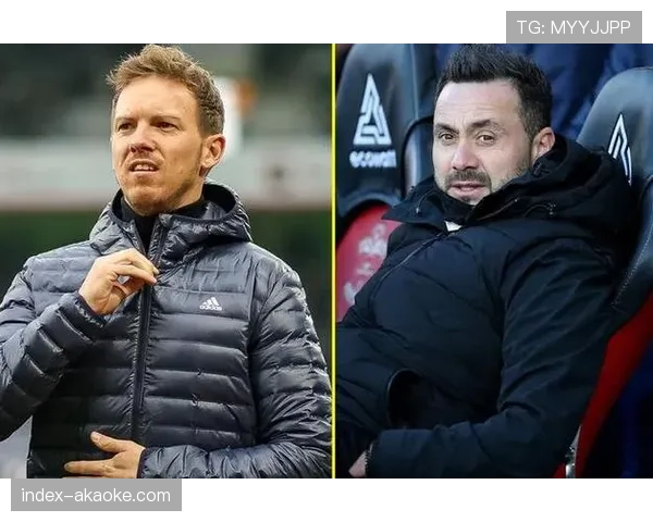 消息：布莱顿与主帅德泽尔比就续约事宜展开初步谈判